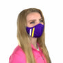 Team Stripe Face Mask
